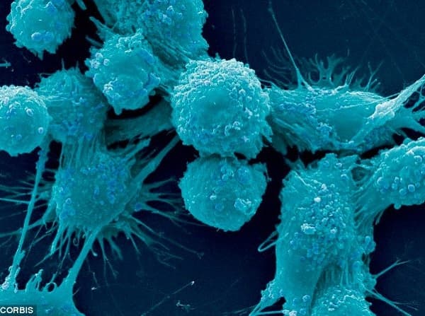 Cientistas encontraram a “chave” que faz com que o câncer se espalhe, dando esperança para novos tratamentos