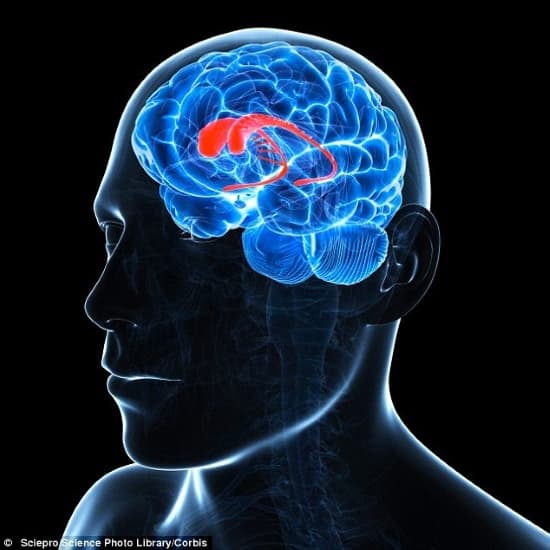 Vídeo games podem reduzir massa cinzenta e aumentam o risco de Alzheimer, diz estudo