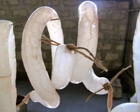 FOTO: Livro de receitas de 1844 ensina a preparar “camisinhas” utilizando intestino de carneiro