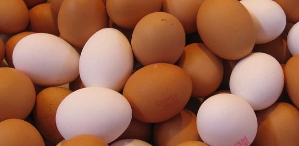 Brasil bate recorde na produção de ovos, com 725 milhões de dúzias