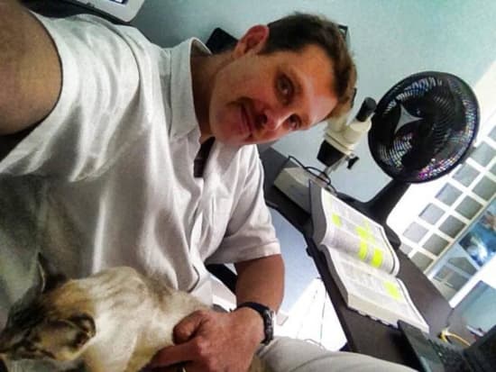 Conselho proíbe veterinário de atender cães de graça no interior de SP; pode até perder o registro profissional