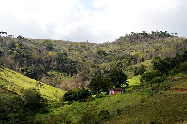 FOTO: Fazenda doada por Gilberto Gil ao MST segue sem assentados após dez anos