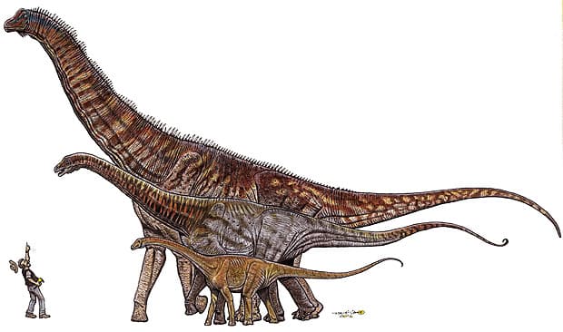 Cientistas apresentam maior dinossauro já descoberto no Brasil