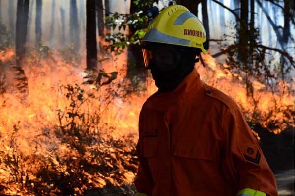 Para ser bombeiro no DF, mulheres têm que se submeter a papanicolau ou provar virgindade