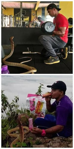Homem casa com cobra que acredita ser a reencarnação de sua namorada
