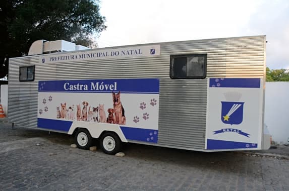 NATAL: Serviço de castração de animais será iniciado no mês de junho pela SMS