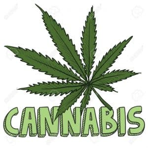 Fórum sobre Cannabis acontece em junho em Natal