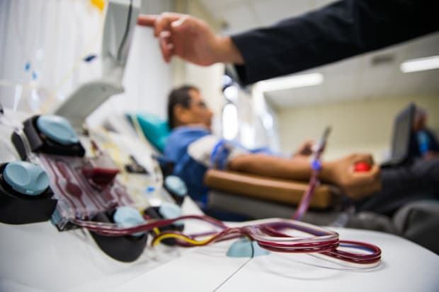 Quase 40% dos brasileiros não sabem seu tipo sangue, aponta pesquisa