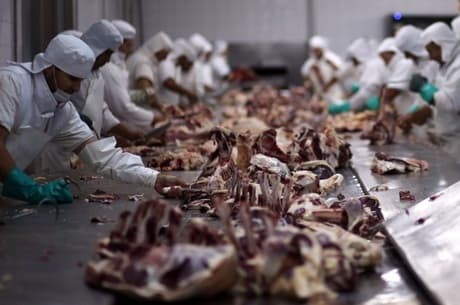 Empresa dos EUA promete lançar carne artificial em 2018