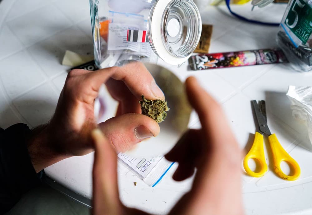 Começa nesta quarta venda de maconha para uso recreativo no Uruguai