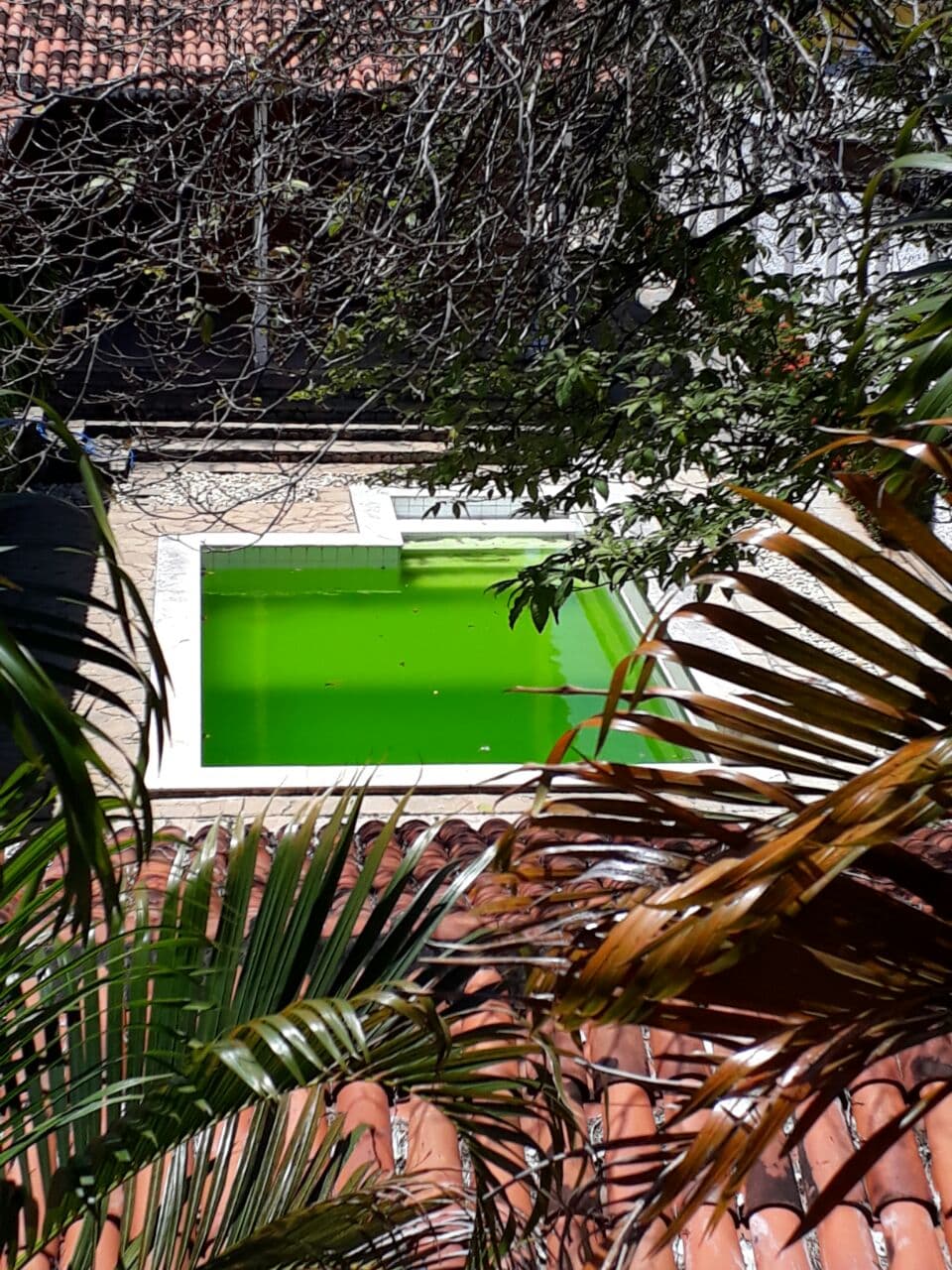 FOTO: Alerta de piscina em estado de abandono em imóvel na Zona Sul de Natal