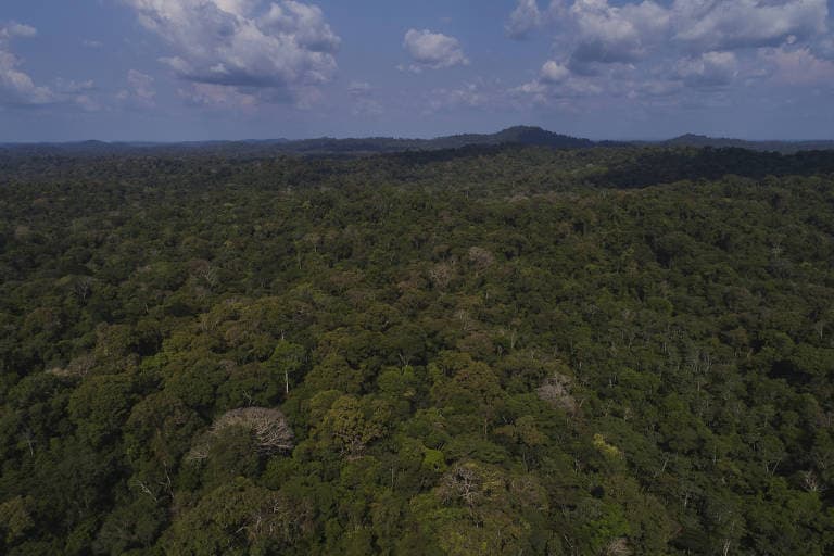 Políticos no Brasil costumam ignorar os cientistas, revela levantamento