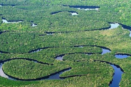 PATRIMÔNIO ECOLÓGICO NACIONAL: Temer sanciona lei que prevê cálculo do Produto Interno Verde; entenda