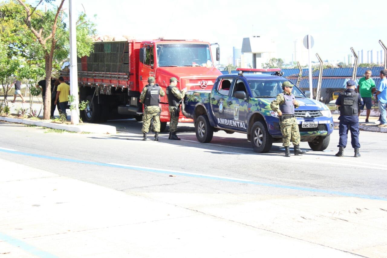 FOTOS E VÍDEO: Motorista de caminhão é detido em Natal após acidente e ataque com faca a motociclista