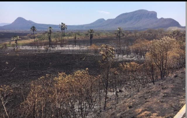 Queimada no Parque Nacional da Chapada dos Veadeiros é controlada