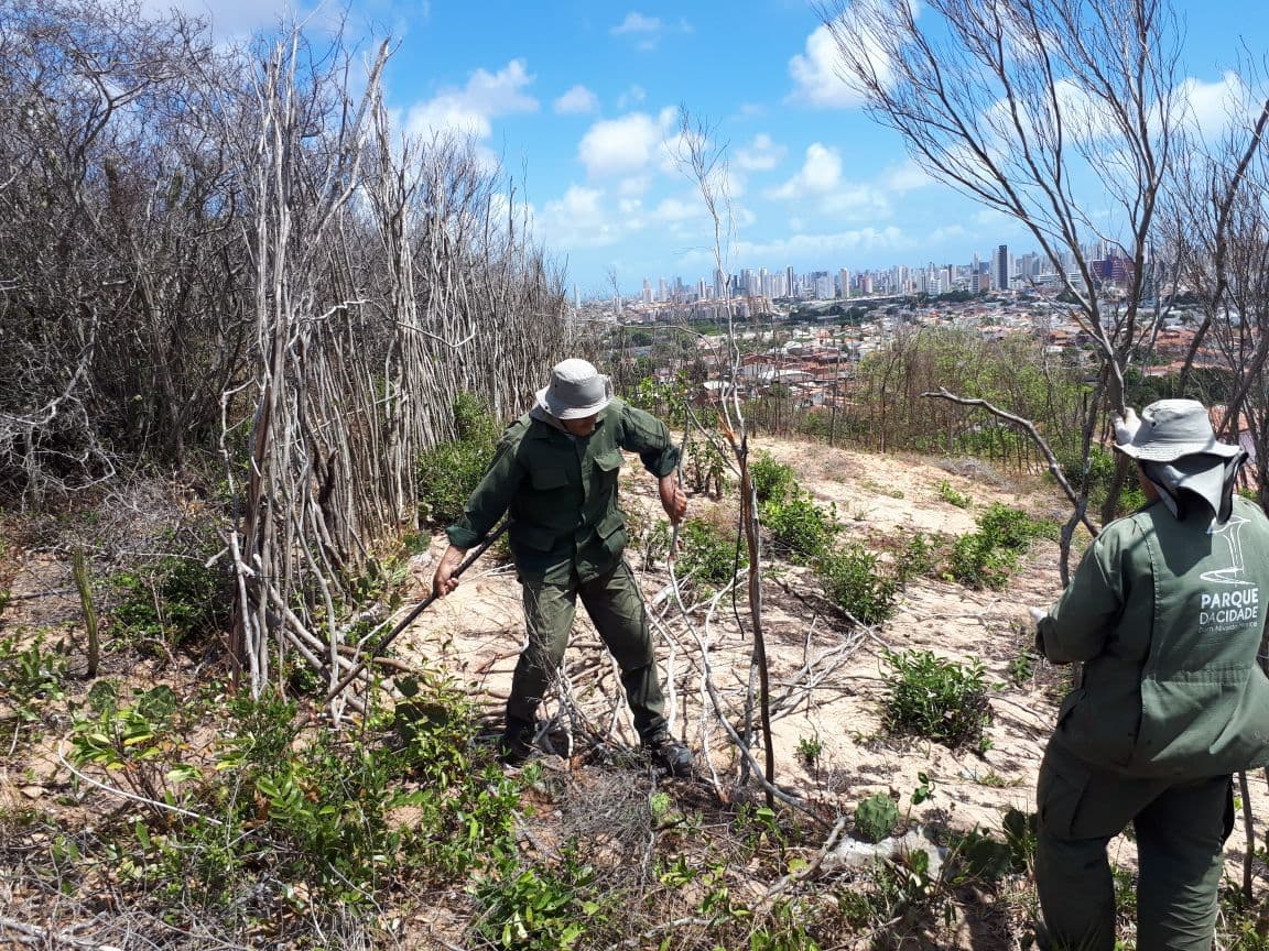 Ação conjunta do Parque da Cidade, Semurb e Guarda Ambiental tenta conter invasões na ZPA-01