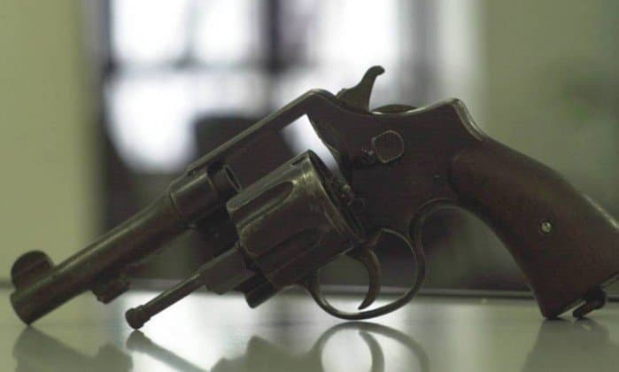 CCJ do Senado aprova compra de arma de fogo por moradores de áreas rurais