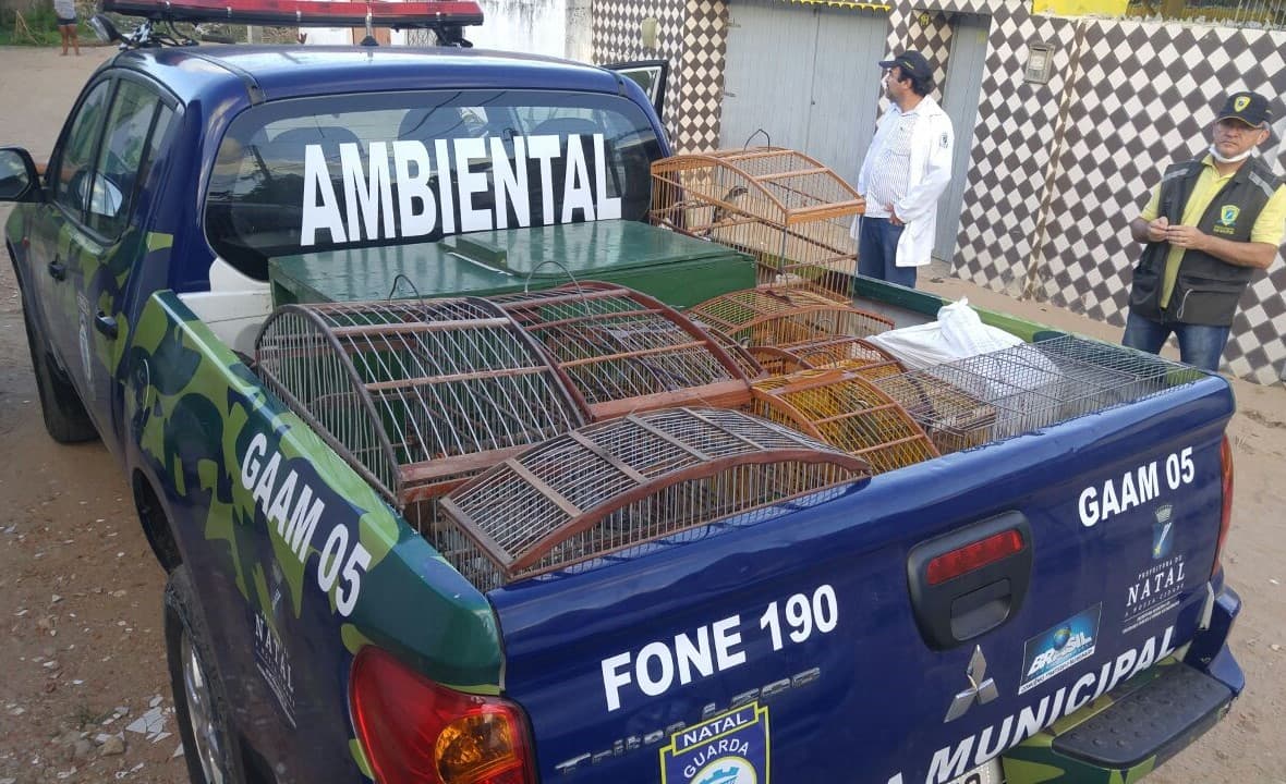 FOTOS: Operação da Guarda Municipal e Semurb regata 53 aves silvestres na Zona Norte