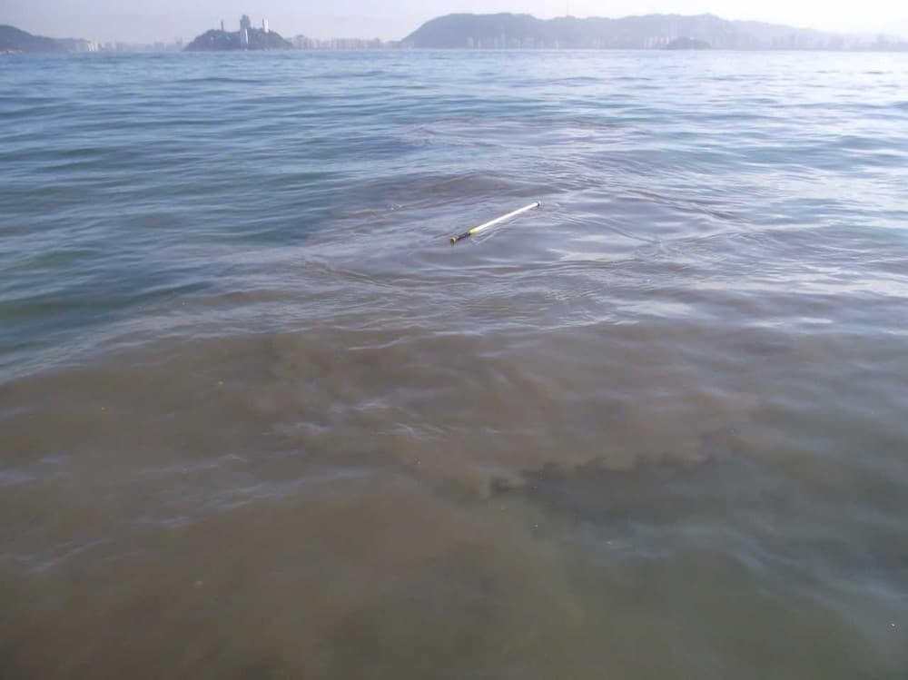 Estudo aponta contaminação por cocaína no mar do litoral de SP