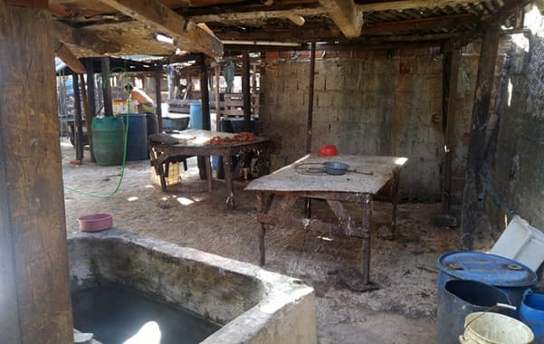 Fiscais ambientais fecham abatedouro clandestino na Zona Oeste de Natal