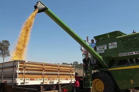 Exportações da agropecuária brasileira crescem 115% em novembro