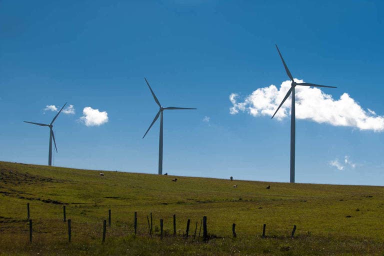 Brasil pode se tornar o primeiro país a cobrar royalties da energia eólica