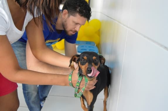 Centro de Zoonoses em Natal promove vacinação contra raiva para cães e gatos neste domingo