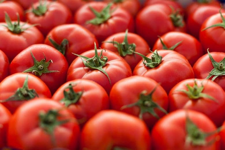 Tomate pode restaurar pulmão de ex-fumantes, diz estudo