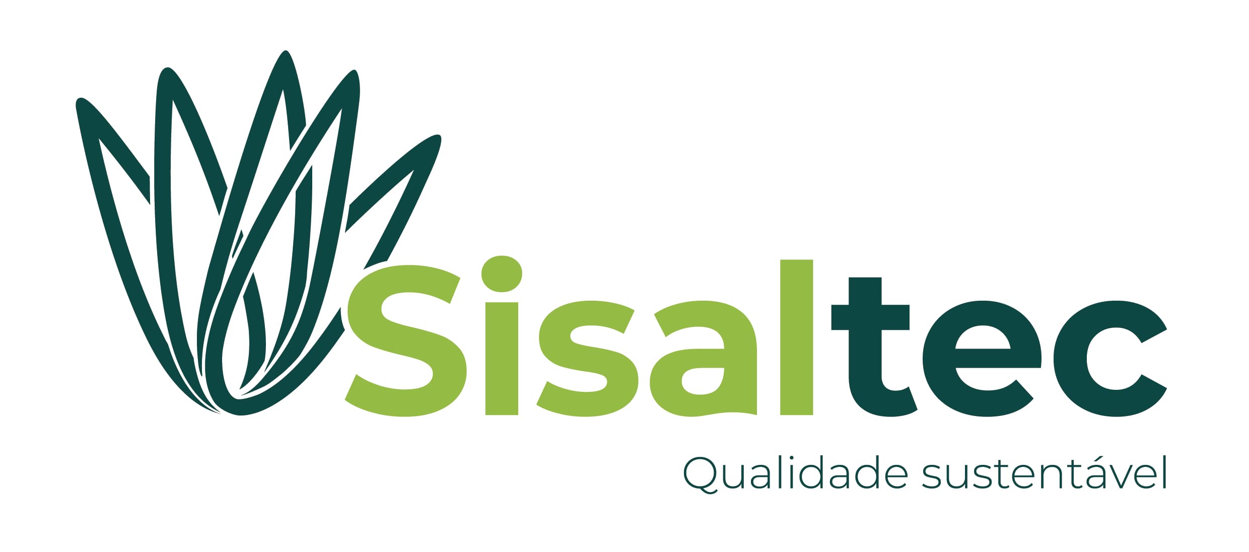 Nova etapa da exportação de fio agrícola de sisal do RN começa este mês