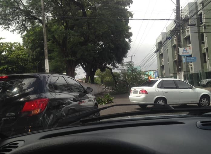 FOTO: Parte de árvore cai na Hermes da Fonseca e bloqueia via na manhã desta quarta
