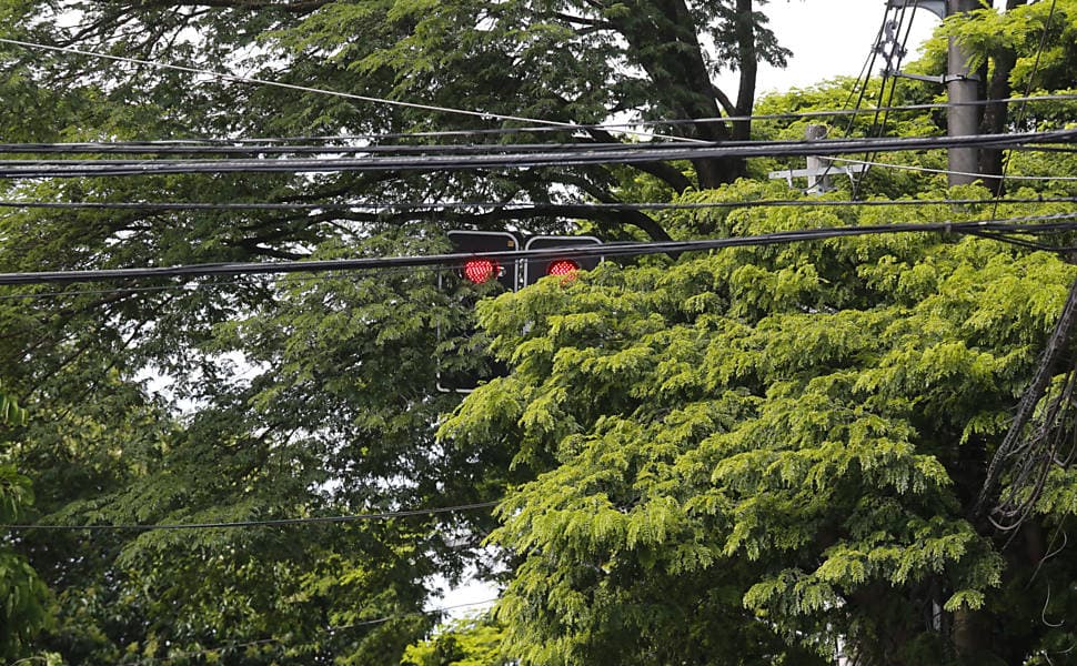 Árvores em vias importantes de Natal cobrem semáforos e possibilitam riscos de colisões e infrações de trânsito