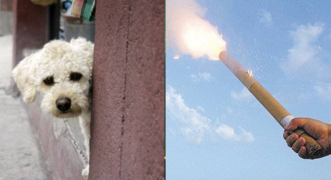 São Paulo proíbe fabricar, vender e soltar fogos de artifício barulhentos