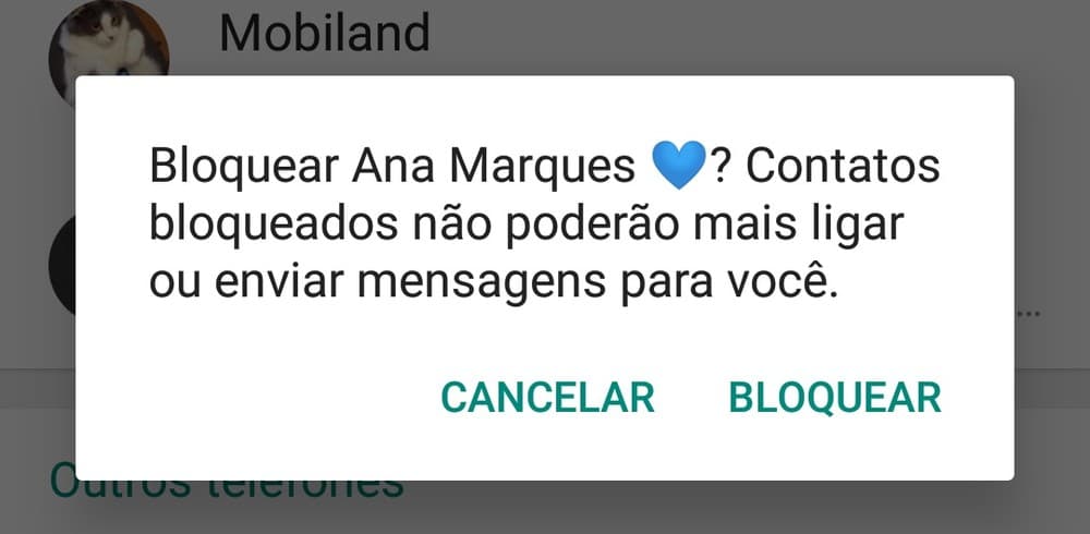 WhatsApp tem falha grave e gera polêmica na Internet; entenda