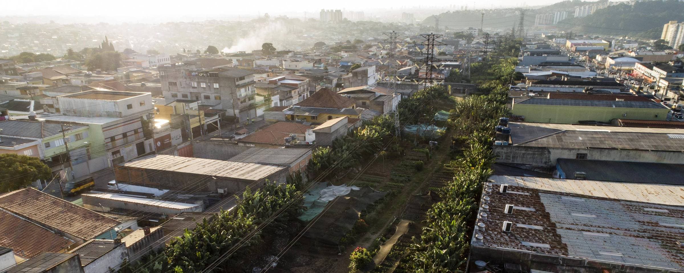 TENDÊNCIA? Em alta, hortas urbanas comerciais começam a abastecer feiras e empórios de SP