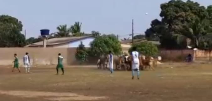 FUTEBOL RAIZ - (VÍDEO): Boiada invade campo durante partida em Porto Velho - RO