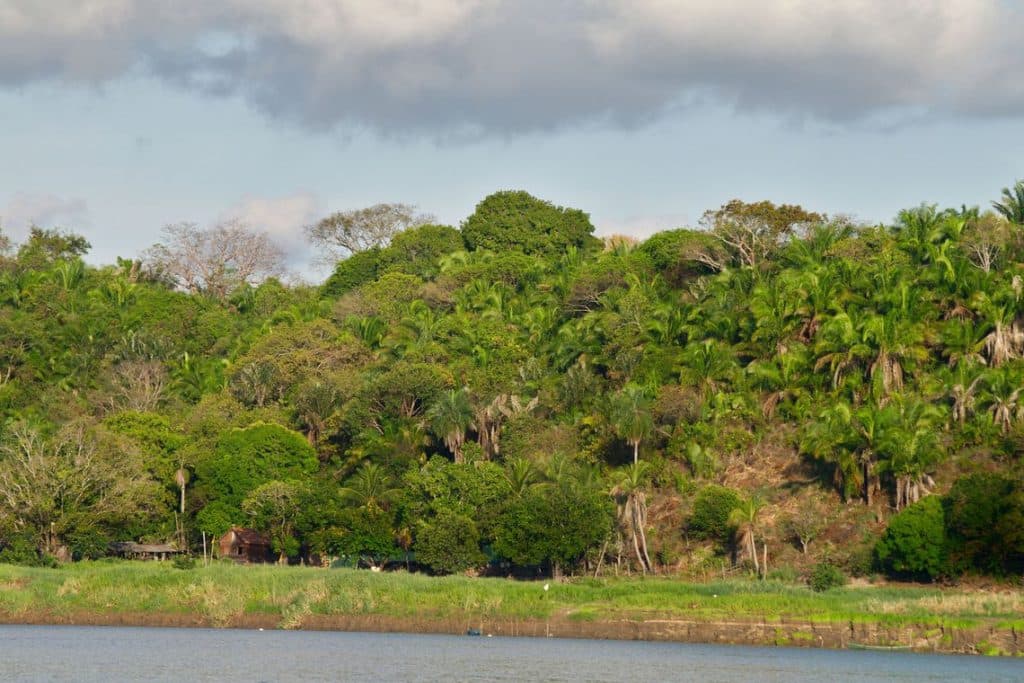 Para 27% dos brasileiros, desmatamento é maior ameaça ao meio ambiente