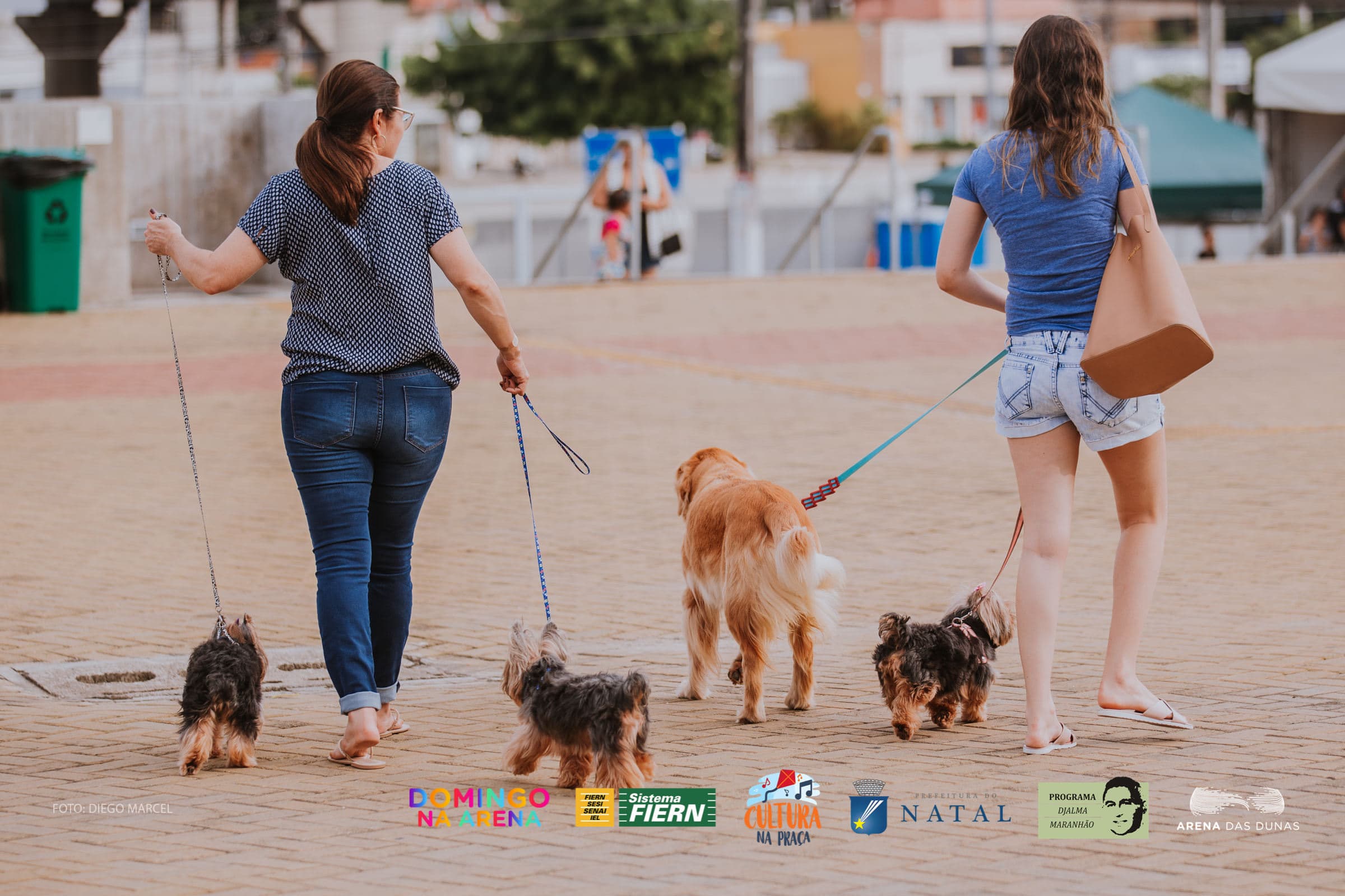 ‘Domingo na Arena' em Natal realiza feira de adoção de cães e gatos