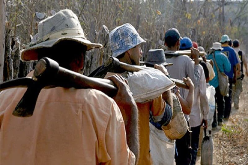 Ministério do Trabalho encontra 1,2 mil em situação semelhante à escravidão este ano