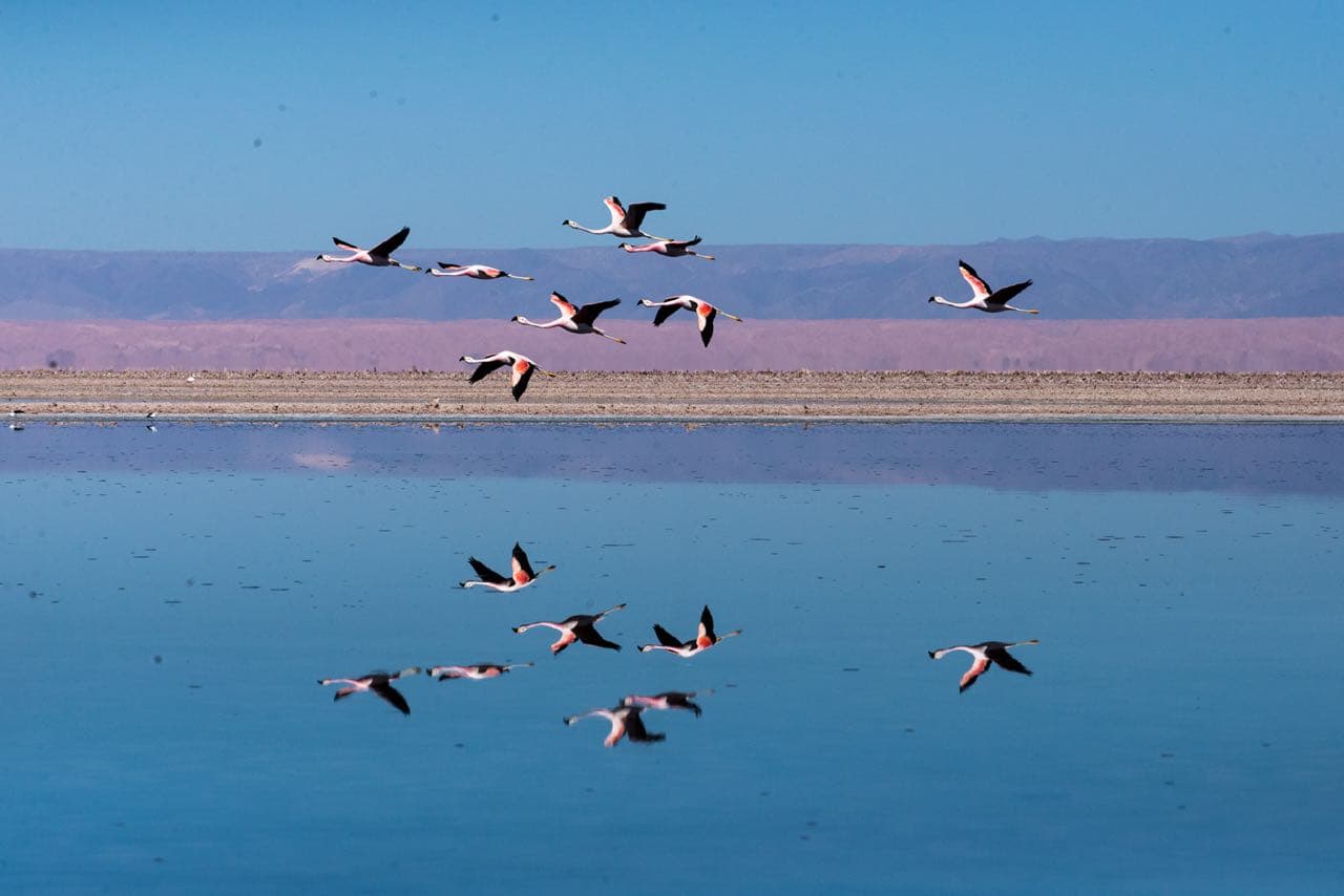 Fotógrafa Leila Cunha Lima realiza exposição Deserto do Atacama nesta quinta em Natal