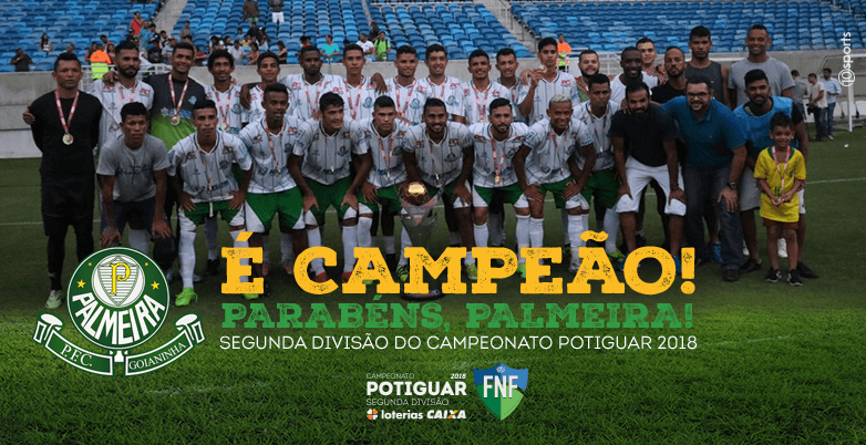 Palmeira vence Alecrim com gol no fim, conquista a 2ª divisão e volta à elite do futebol potiguar