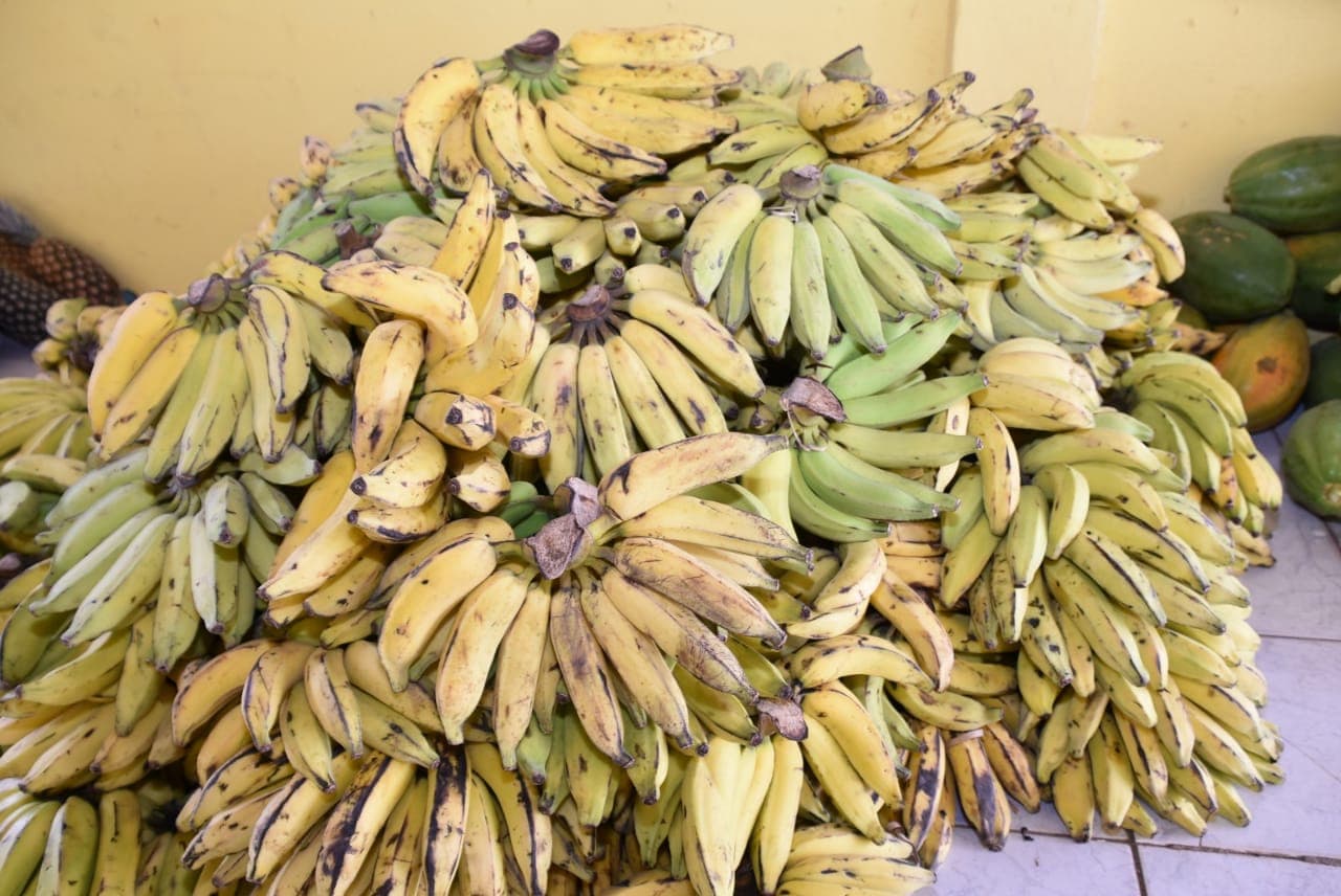 SÃO GONÇALO: Além do Comida Boa, Semtasc distribui frutas às famílias carentes