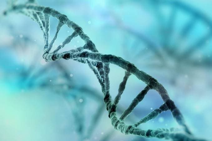 Sites de DNA ameaçam anonimato de doadores de esperma