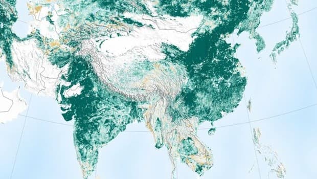 Planeta está ‘mais verde' que há 20 anos, mostra estudo da Nasa