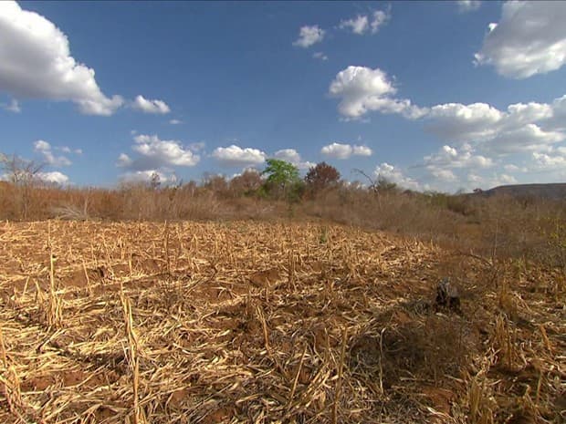 Governo renova decreto de Situação de Emergência pela Seca em 148 municípios do RN