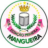 Mangueira conquista o Carnaval 2019 no Rio de Janeiro