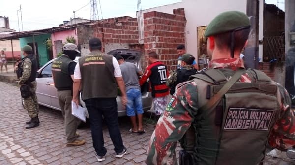 Operação conjunta “arrasta” sete paredões e interdita festas nesse domingo em Natal