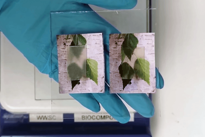 Cientistas criam madeira transparente que pode substituir o vidro; além de deixar passar luz, novo material tem maior resistência e ajuda a estabilizar a temperatura do ambiente