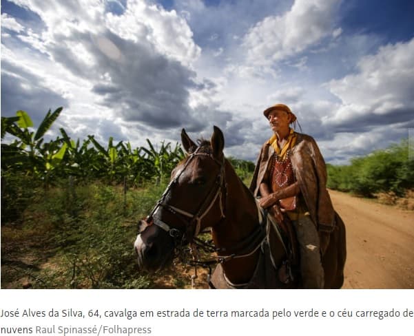 FOTOS: Chuvas encerram ciclo de estiagem e dão origem a ‘seca verde' no sertão nordestino