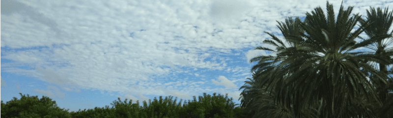Junho marca o início do período seco no interior, destaca Emparn