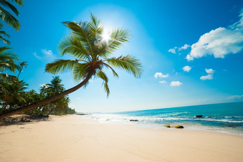 Balneabilidade informa que praias do RN se encontram próprias para o banho